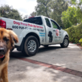 Scoop Masters - Dog Poop Removal Services - Santa Clarita, CA