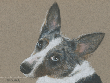 commissioned 5x7 inch colored pencil pet sketch
