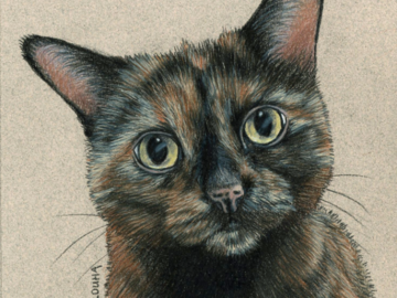 commissioned 5x7 inch colored pencil pet sketch