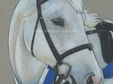 5x7 inch colored pencil horse sketch