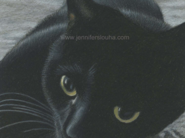 5x7 inch colored pencil pet sketch