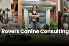 Request Quote: 1-on-1 60 Minute Lesson - In Home Dog Training - Bluff City, TN