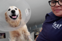 Request Quote: Fetch! Pet Care - Dog Walking and In Home Pet Sitting - Boca Raton, FL