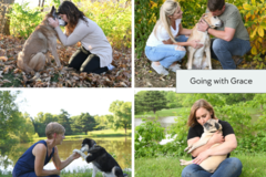 Request Quote: FixYourImages Pet Photography - Olathe, KS