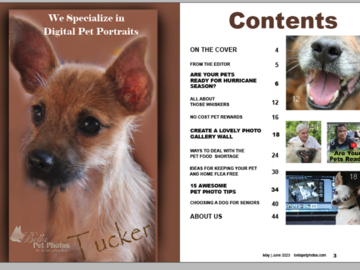 Contents Page Bella Pet Photos Magazine