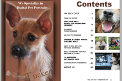Request Quote: Bella Pet Photos - Professional Pet Photography - Irvington, AL