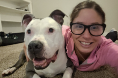 Request Quote: Paws & Jesus LLC - Pet Care & Dog Training  - Winston-Salem, NC