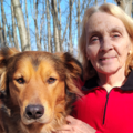 Positive Puppy Training - Private In Home Dog Trainer - West Milford, NJ