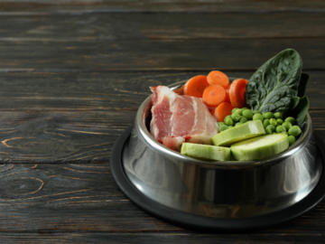 Holistic nutrition your pet needs!