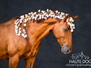 Chestnut horse with gold leaves in mane