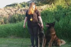 Request Quote: The Complete K9 - In Home Private Dog Training - Moxee, WA