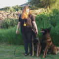 The Complete K9 - In Home Private Dog Training - Moxee, WA
