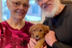 Request Quote: Doo-Doo No More Pet Waste Removal Service  - Anchorage, AK