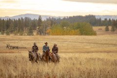 Request Quote: Cowgirl Media - Professional Pet Photographer - Kendrick, ID