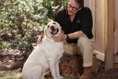 Request Quote: 30+ Years of Experience Haigwood Studios - Pet Photographer - Roswell, GA