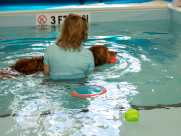 assisted swim