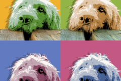 Request Quote: Jean Luc Comperat - Pet Portrait Artist - New York, NY