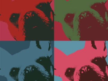 French bulldog pop art Warhol style print