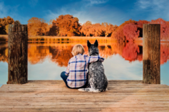 Request Quote: Kylee Doyle Photography - Pet Photographer - Placerville, CA