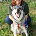 Debby's Dog Training Consulting - Certified Dog Trainer - Flushing, NY