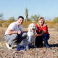 Bark Busters Phoenix - Dog Trainers - Goodyear, AZ