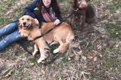 Request Quote: Mighty Mutt Dog Walking & Dog Training Services - Brooklyn, NY