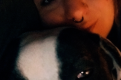 Request Quote: Heckin Good Dog Walking and Pet Sitting  - Independence, MO