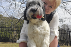 Request Quote: Anna Klocke Intuitive Animal Communicator - Nationwide