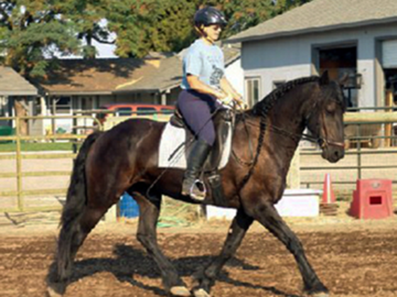Terrie Douglas riding young mare