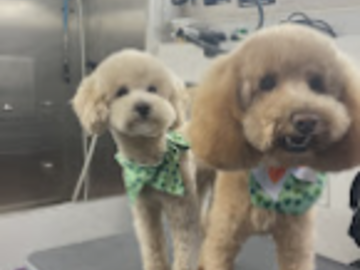 We offer mobile grooming in Granger, IN