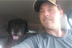 Request Quote: KRC Pet Transports  - Nationwide