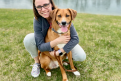 Request Quote: CodaPet - At Home Pet Euthanasia  - Columbus, OH