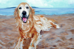 Request Quote: Oil Painting Pet Portrait From Your Photos - Nationwide