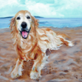 Oil Painting Pet Portrait From Your Photos - Nationwide
