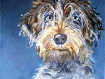 Oil Painting Pet Portrait Wire Haired Pointing Griffon