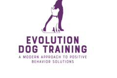 Request Quote: Evolution Private Dog Training and Animal Behavior - Las Vegas, NV