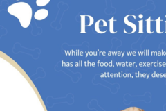 Request Quote: Fetch! Pet Care - In Home Pet Sitting Services - Dog Walking - Orlando, FL