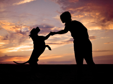 Silhouette of woman and dog dancing at sunset