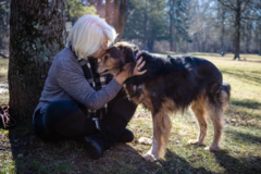 Request Quote: Lina Chero Animal Communication and Energy Healing - Nationwide