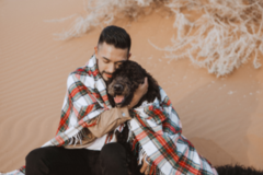 Request Quote: Puppies Art Photography -  Pet Photographer - Reno, NV