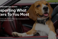 Request Quote: Dependable Driver Solutions - Pet Transport Services - Nationwide
