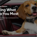 Dependable Driver Solutions - Pet Transport Services - Nationwide