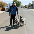 Sit Means Sit - Puppy and Private Dog Training - Reno, NV