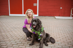 Request Quote: Terry's Taxi - Pet Taxi Service - Albany, NY