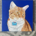 Art by Angie Nieves - Pet Portrait Artist  - Nationwide