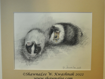 Two very sweet guinea pigs sketched from life during the St. George's Episcopal Church's Blessing of the Animals.  Aren't they precious? Charcoals with a hint of soft pastels.