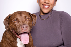 Request Quote: Q&A Dog Training  - Vancouver, BC