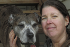 Request Quote: Paws 4 Healing - Animal Communicator and Usui Reiki  - Nationwide