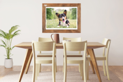 Request Quote: Jelly Beans Pet Photography - Dunwoody, GA