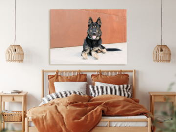 a large canvas over a bed, showing a German Shepherd lying down